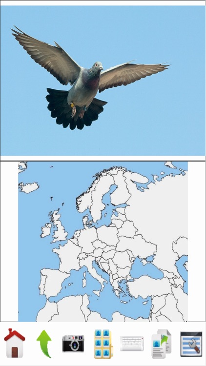 TouchSpeak Student screenshot-3