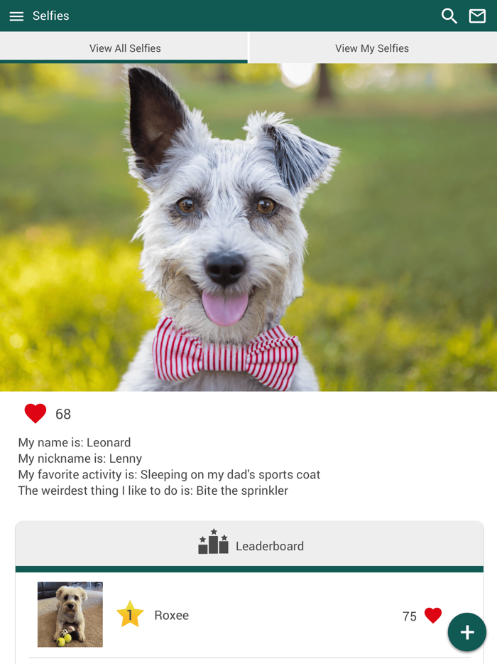 Crossroads Animal Hosp