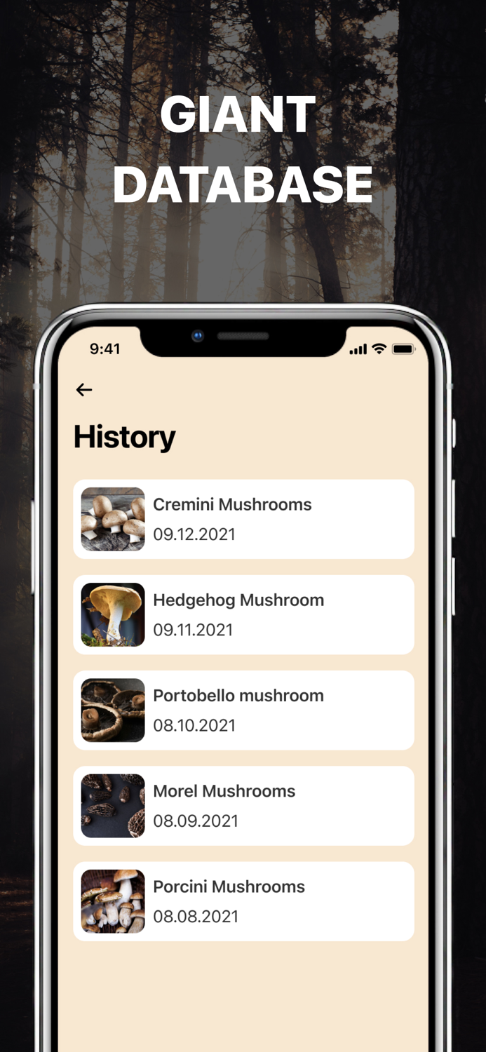 Mushroom Identification.