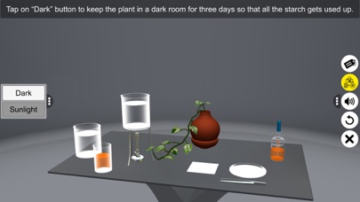 Screenshot #2 pour Chlorophyll & Photosynthesis