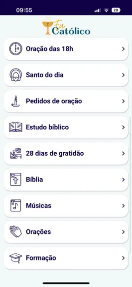 Game screenshot Eu catolico apk
