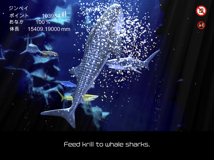 whale shark that grows calmly