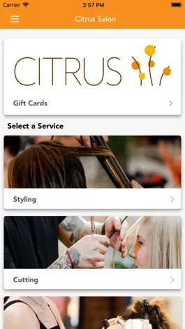 Game screenshot Citrus Salon mod apk