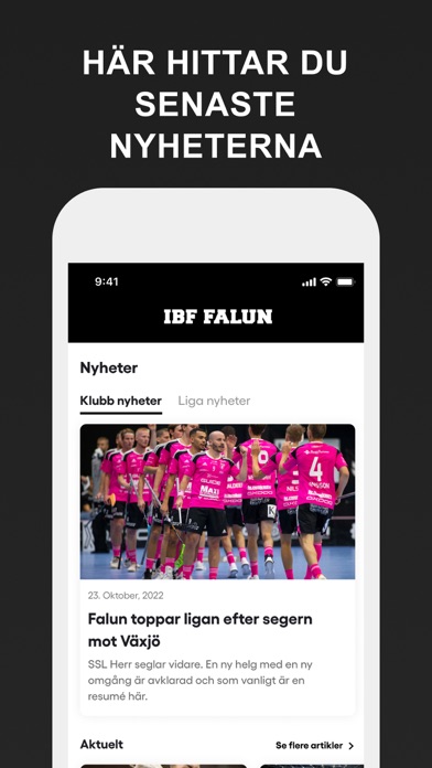 IBF Falun Screenshot