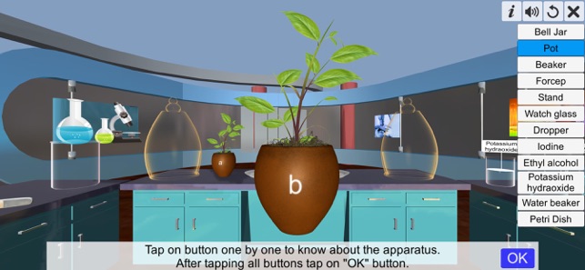 Carbon dioxide Photosynthesis