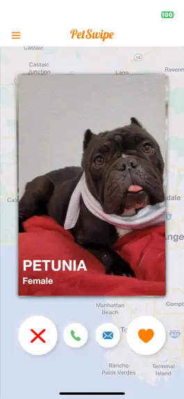 Game screenshot PetSwipe mod apk