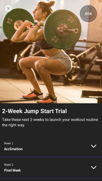 Virtual Fitness Transformation Screenshot
