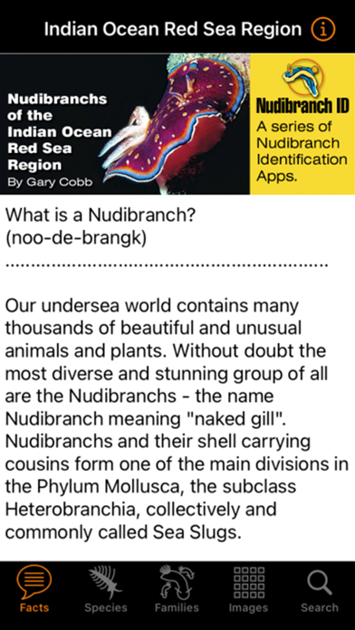 Nudibranch ID IndianOcn RedSea Screenshot