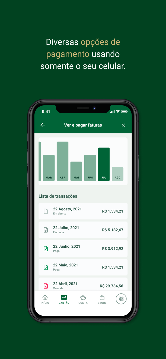 Palmeiras Pay
