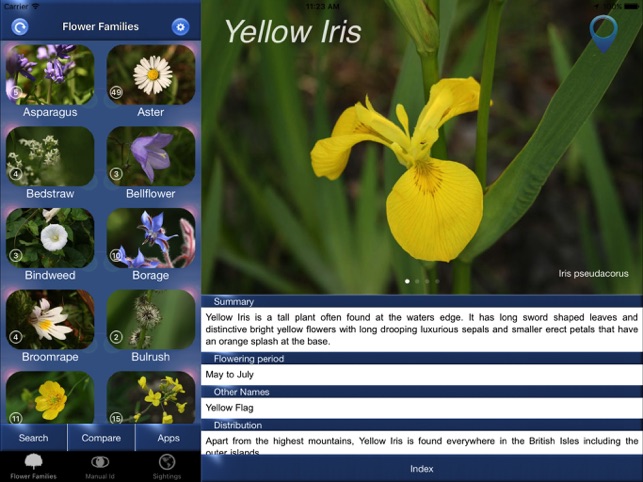 Wild Flower Id British Isles On The App