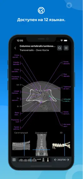 Game screenshot vet-Anatomy apk