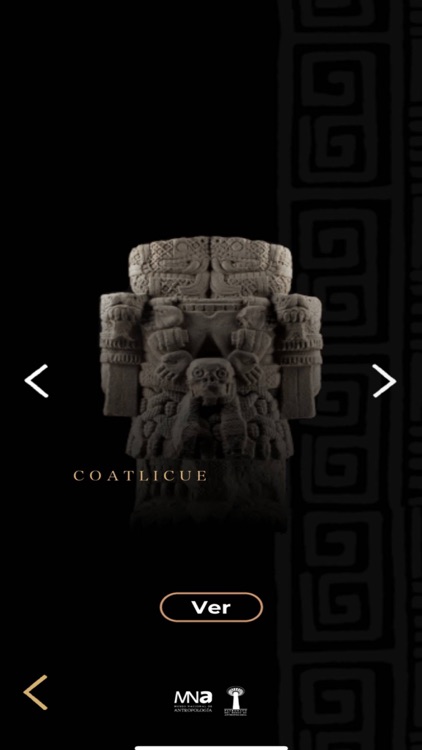 MNA screenshot-5