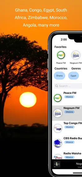 Game screenshot African Radio Stations Live apk