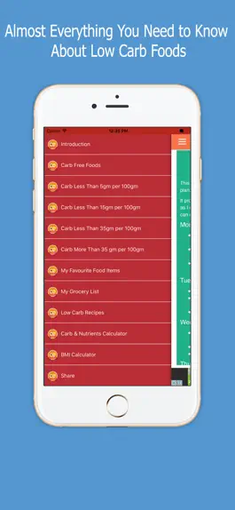 Game screenshot Zero and Low Carb Diet mod apk