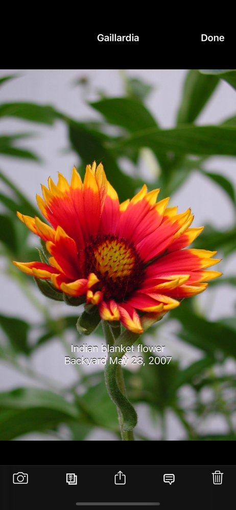 Plant Album Lite screenshot 3