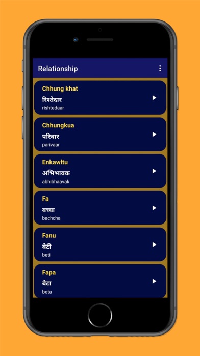 Hindi Zirna (Mizo to Hindi) Screenshot