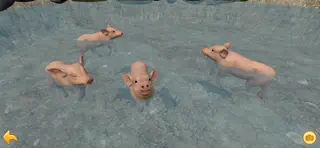 Piglet Garden - Screenshot 2