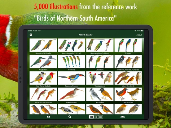 All Birds Ecuador field guide iPad app afbeelding 6