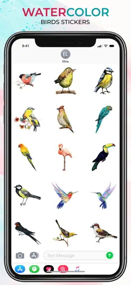 Game screenshot The Watercolor Birds apk