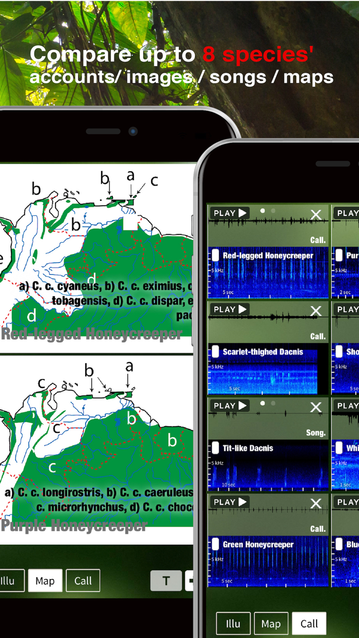 All Birds Ecuador field guide