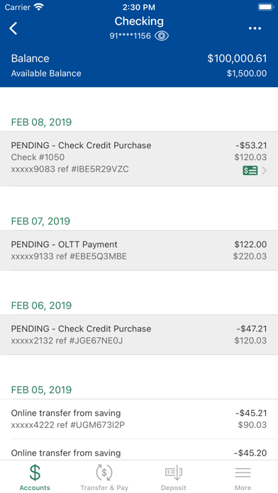 Domino Federal Credit Union Screenshot