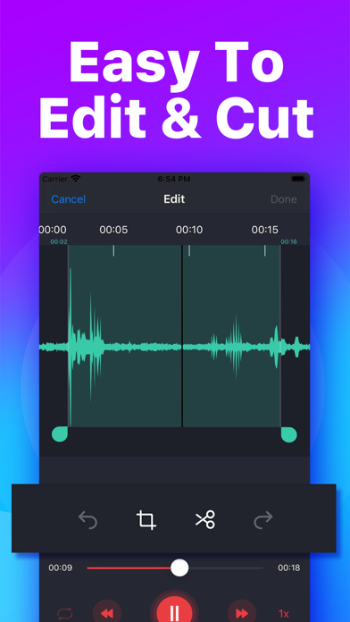 Voice Recorder & Memos Editorのおすすめ画像3