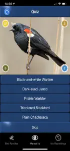 Bird Song Id USA songs & calls screenshot #4 for iPhone