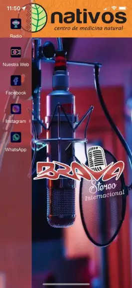 Game screenshot Brava Stereo apk