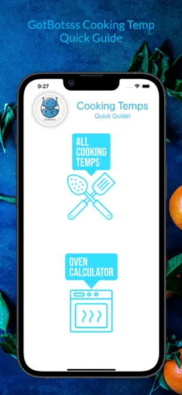 Game screenshot GotBotsss Cooking Temps Guide mod apk