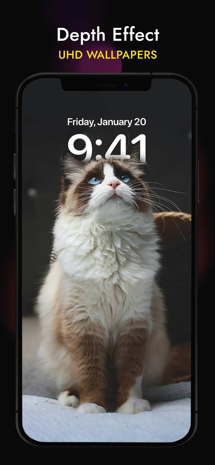 Skin - Widgets Icons Themes