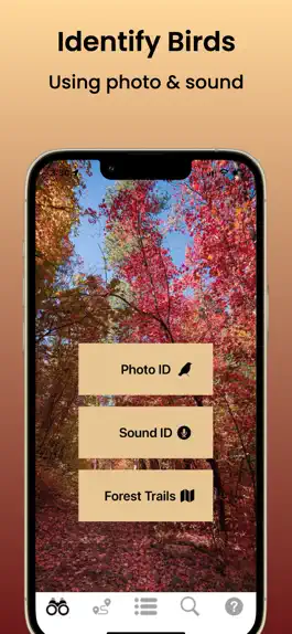 Game screenshot BirdCode mod apk
