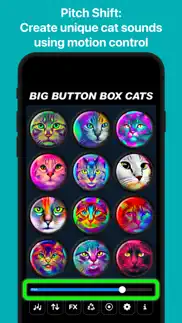 big button box: cat sounds iphone screenshot 2