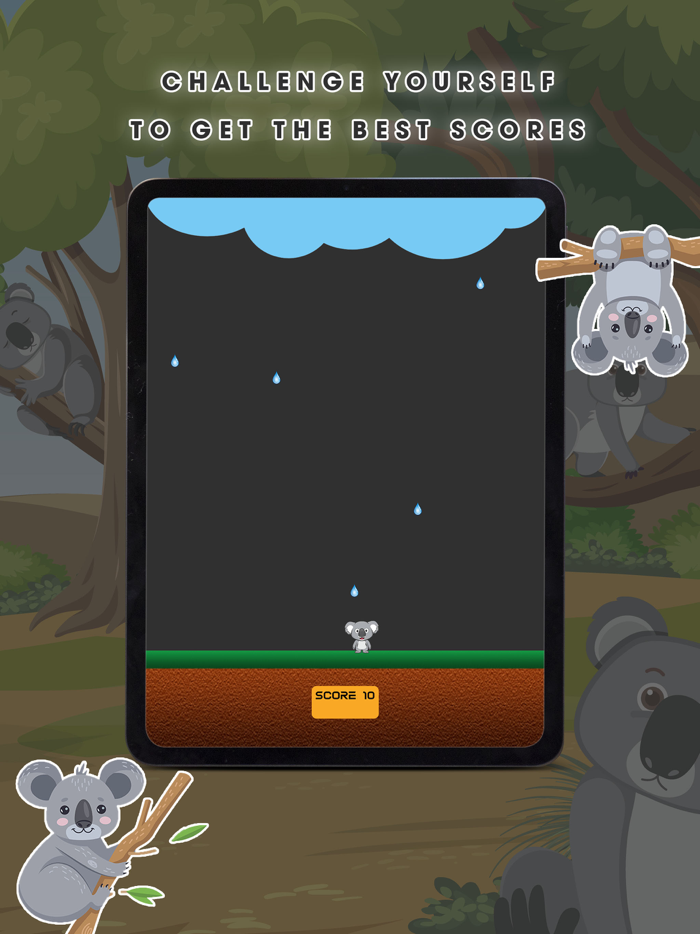 Save Koala From Rain