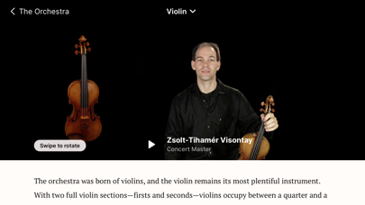 The Orchestra Screenshot