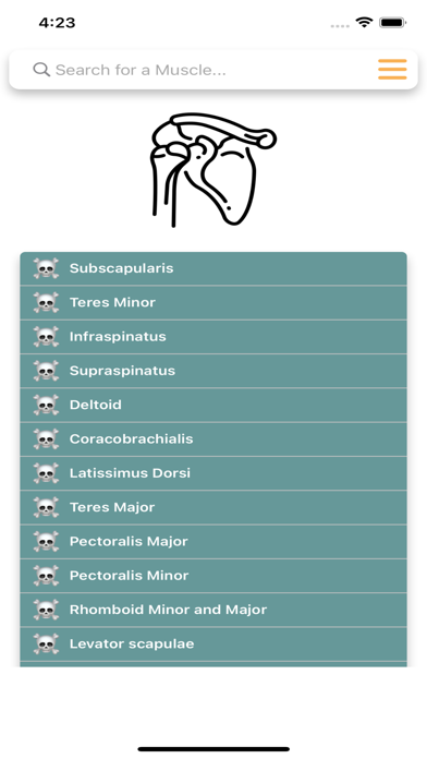 Orthopedic Limbs Anatomy Screenshot