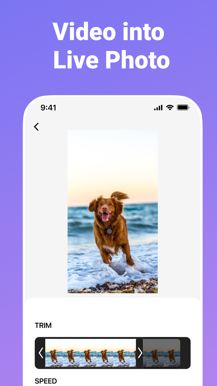Video to GIF Maker  Converter