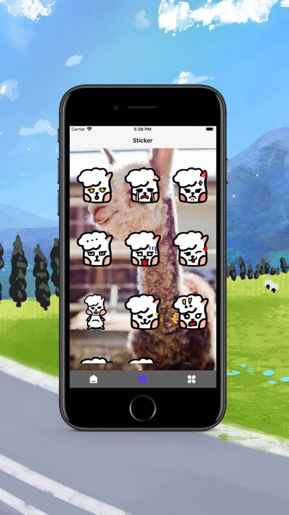 Curls Cool Vicugna pacos