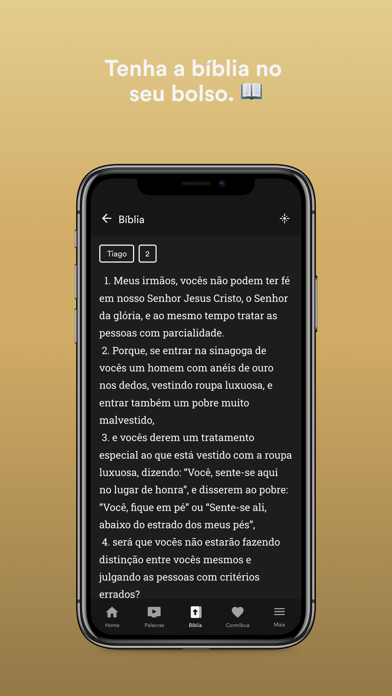 PIB Montenegro Screenshot