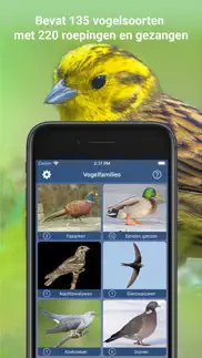 vogelzang id nederland iphone screenshot 4