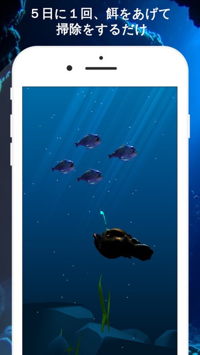 深海魚チョウチンアンコウの育成のおすすめ画像2