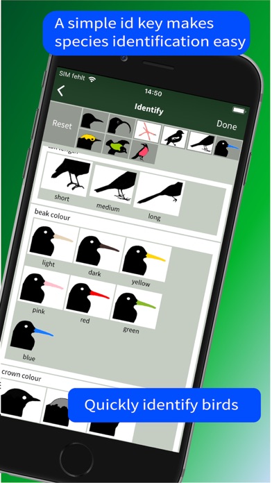 All Birds North. South America Screenshot