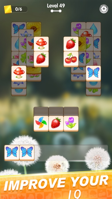 Home Match Master Screenshot