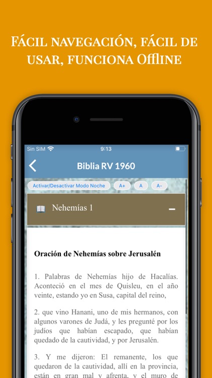 Estudio de la Biblia RV 1960 screenshot-4