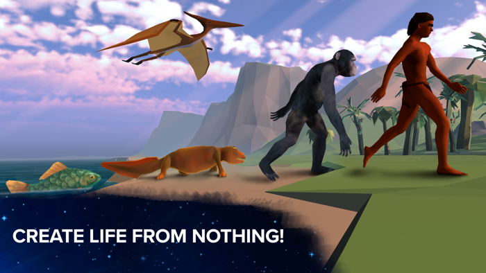 Cell to Singularity Evolution