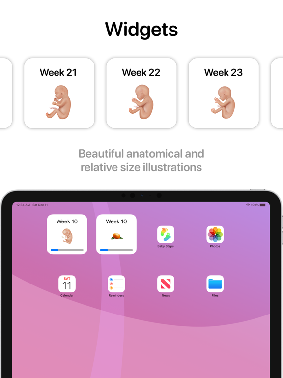 Baby Steps - Pregnancy & Baby iPad screenshot 3 - Medical app
