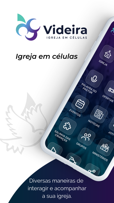 Videira São Paulo Screenshot