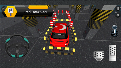 Park a Car in the Parking Lot Screenshot