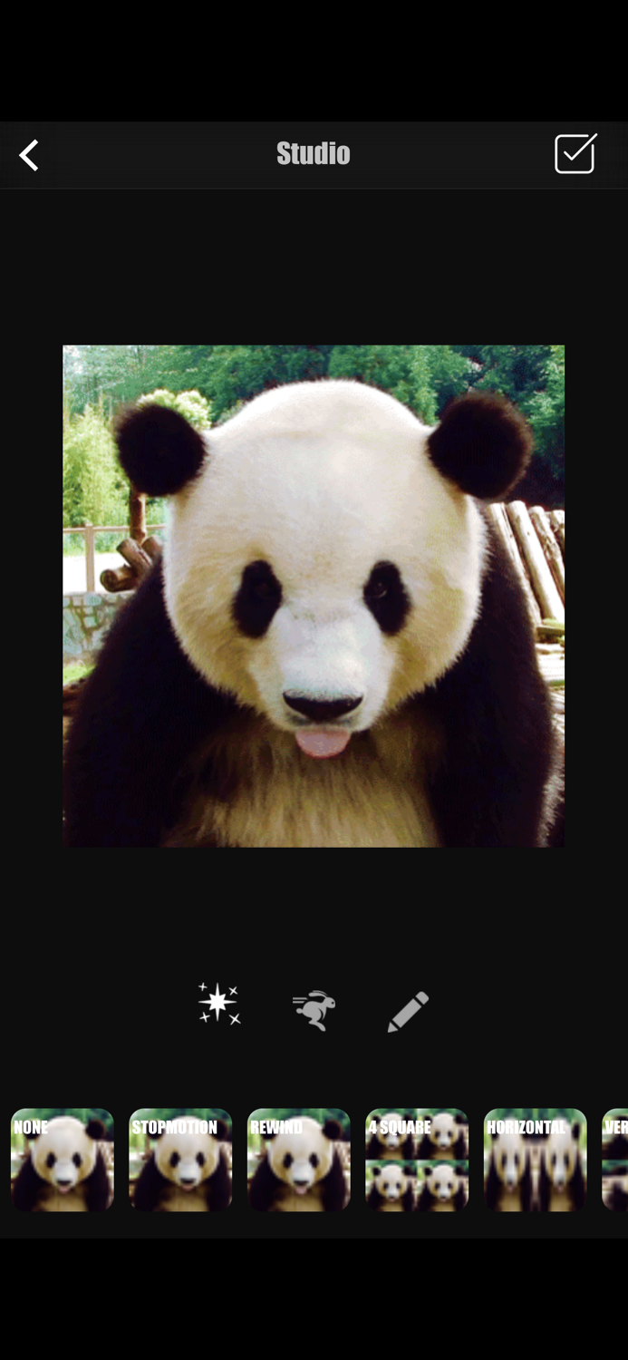 Gif Forge - Gif Cam and Editor