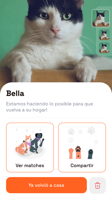 Mr Odis - The app for your pet Screenshot
