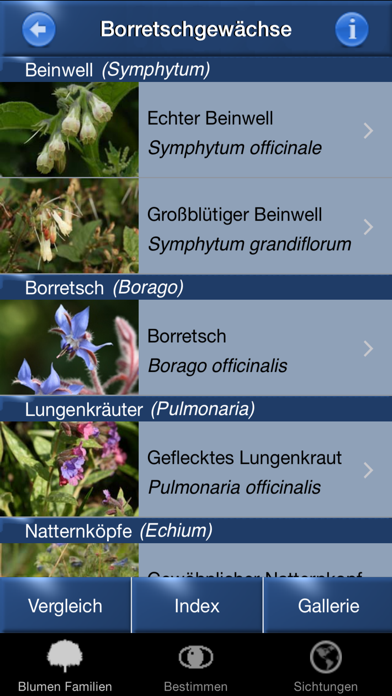 Blumen Id Automatik Screenshot